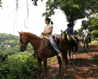 Rutas a caballo guiadas